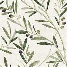 Olive Branch Home Care