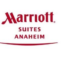 Monthly Chamber Mixer at Anaheim Marriott Suites