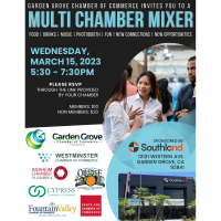 Multi Chamber Mixer After Work