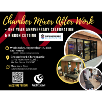 Chamber Mixer After Work