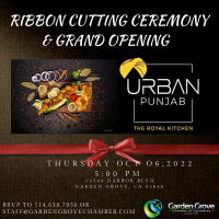 Ribbon Cutting: Urban Punjab