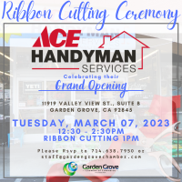 RC: Ace Handyman Services