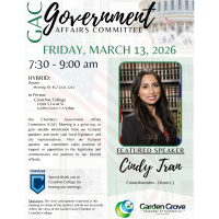 Government Affairs Committee Meeting 2026