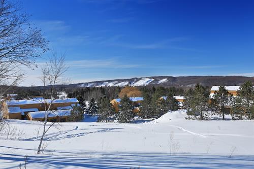 View from Trout Creek to Boyne Highlands