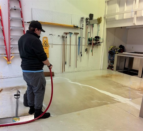 Professional Area Rug Cleaning