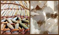 Vibrant Matter: Engaging Energies