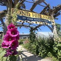 Pond Hill Farm