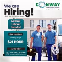 Conway Professional Services