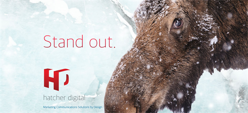 Hatcher Digital LLC.