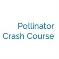 Pollinator Crash Course in Maple Grove