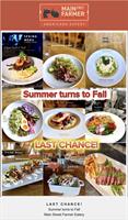 Main Street Farmer Eatery - St. Michael