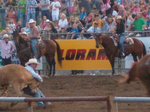 Hamel rodeo 2011