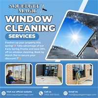 Squeegee Magic - Maple Grove