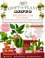 Styled Stems - Maple Grove