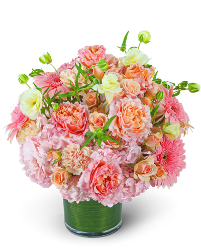 Gallery Image FC2CP-02_Wild_Strawberry_Sky.png