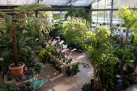 The tropical greenhouse is a welcoming spot especially in winter.