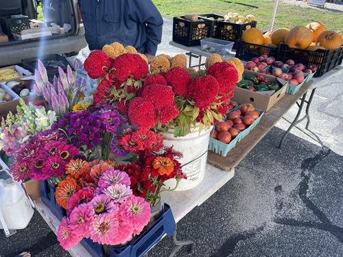 Zinke's Homegrown flowers & produce
