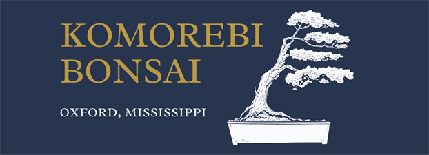 Komorebi Bonsai, LLC