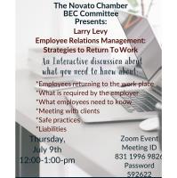 BEC Virtual Event: Strategies for Returning to Work