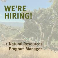 Conservation Corps North Bay