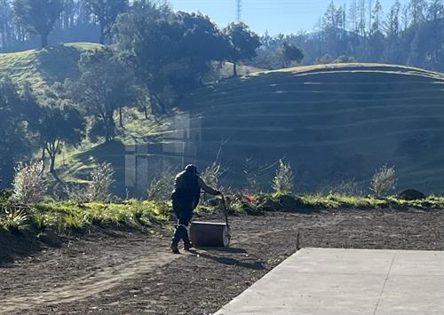 Preparing for Sod in Wine Country