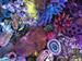 Sandi Miot: The Medium Is The Muse - Under Sea Art