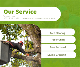 A&R Tree and Landscaping