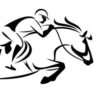 Steeplechase Financial Services