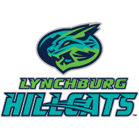 2024 Board of Directors Night with the Lynchburg Hillcats