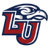 Chamber Night at Liberty University Football!