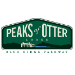 New Year's Eve at Peaks of Otter Lodge