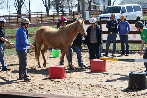 Horses helping teach thinking outside the box