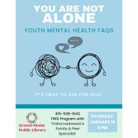 Youth Mental Health Program