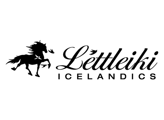 Lettleiki Icelandics LLC