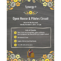 Synergy+ Physical Therapy & Pilates Studio Open House & Pilates Circuit