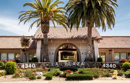 Gallery Image Polygons-Media-marin-web-design-san-rafael-california.jpg