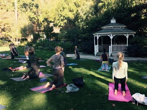 Yoga on the Lawn with Elizabeth Shelhart
