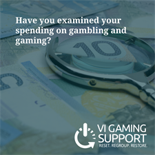 VI Gaming Support