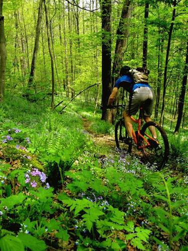 Gallery Image Marietta_Trail_Spring.jpg