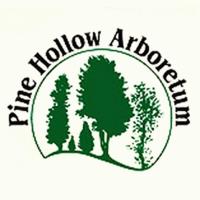 Sky Above, Earth Below - A Yoga Event at Pine Hollow Arboretum
