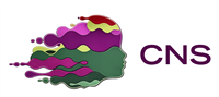 ADHD & Executive Skills Parent Group - Virtual