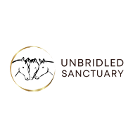 Local Students engage in hands-on equine learning at Unbridled Sanctuary