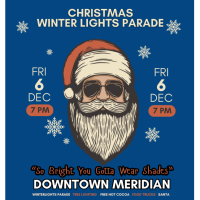 Winter Lights Parade - City of Meridian