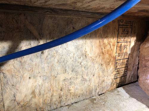 Crawlspace Mold Remediated