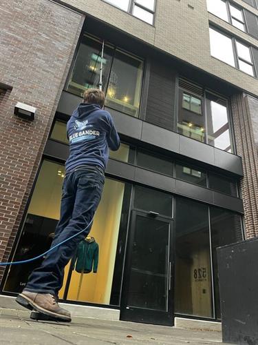 Gallery Image Blue_Gander_waterfed_cleaning.jpg