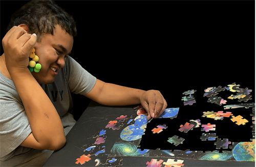 Gallery Image puzzle_tim.png