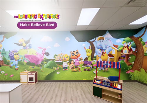 Gallery Image photo_upload_67dd886ee56fd-2025-03-21.png