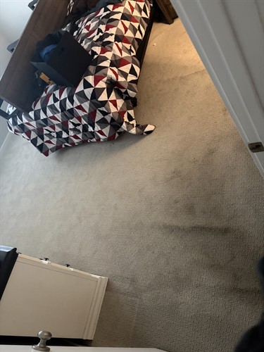 Gallery Image IMG_1123.JPG