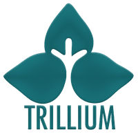 Trillium Employment Services