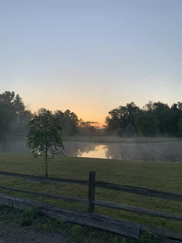 Sunrise over our pond!